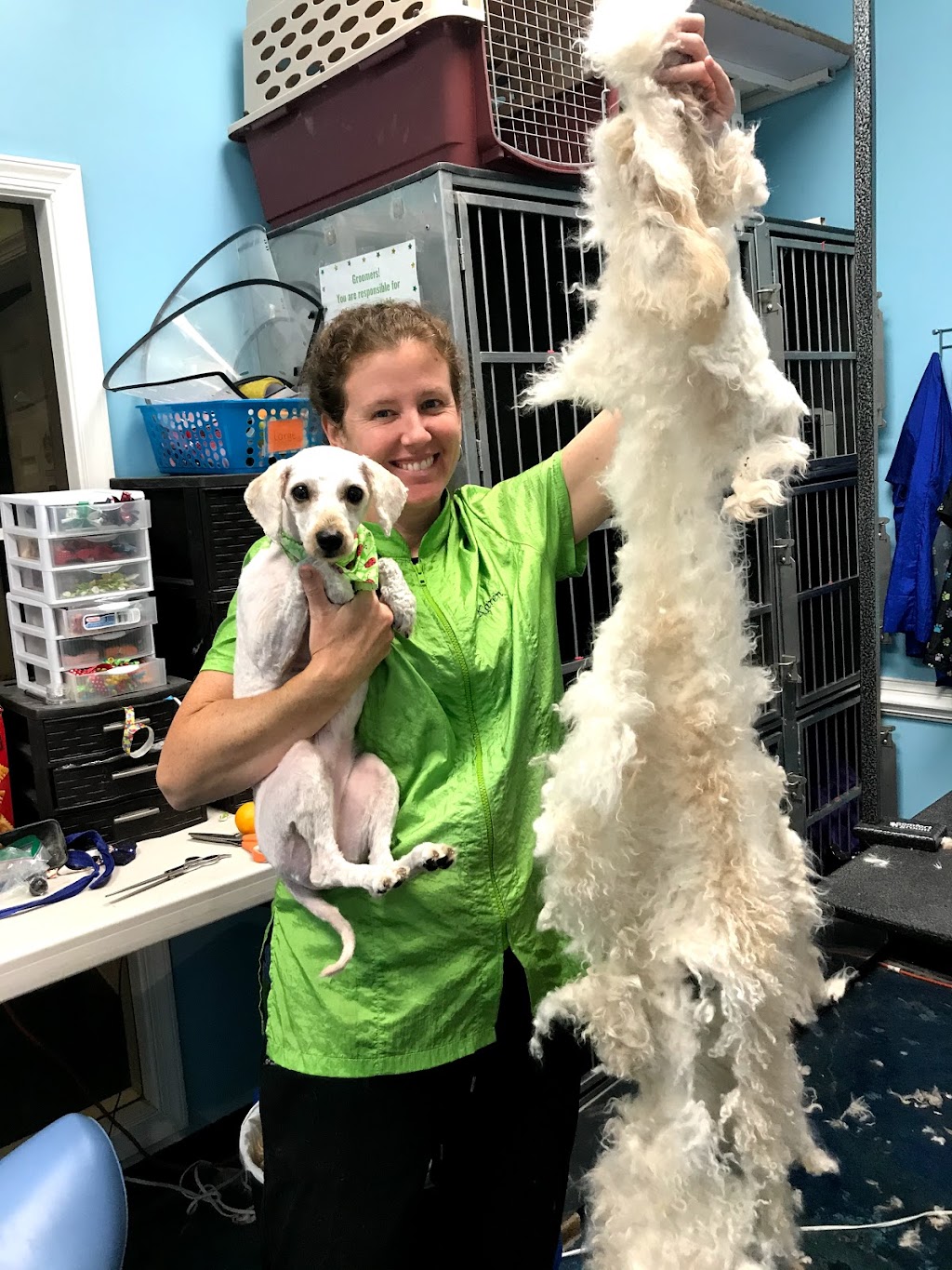 Lucky Pups Pet Wash | 3916 Portsmouth Blvd, Chesapeake, VA 23321, USA | Phone: (757) 392-3550