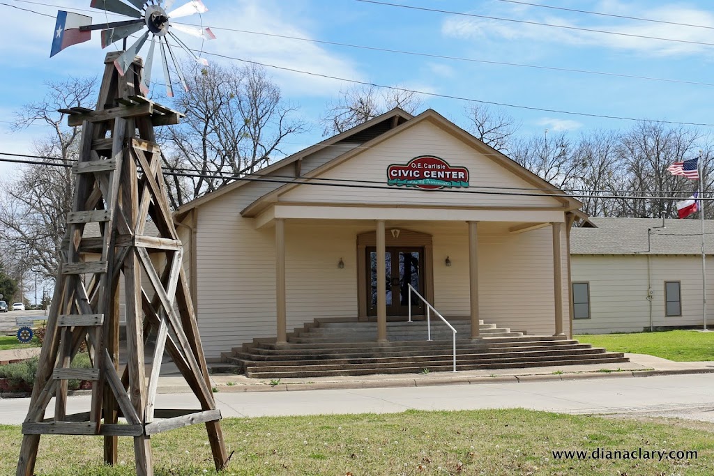 Charles Rike Memorial Library | 203 Orange Ave, Farmersville, TX 75442, USA | Phone: (972) 782-6681