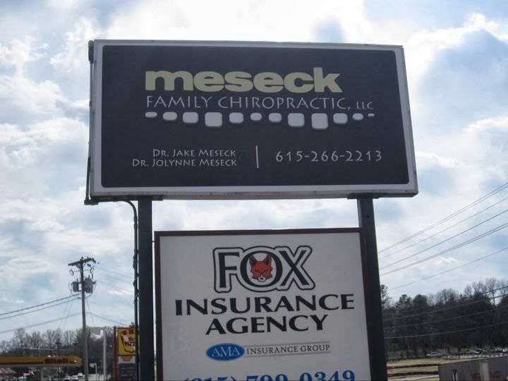 Meseck Family Chiropractic, LLC | 2199 Fairview Blvd, Fairview, TN 37062, USA | Phone: (615) 266-2213