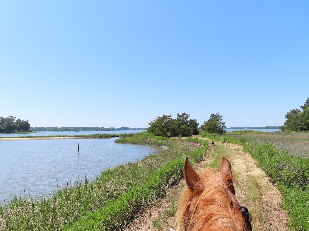 Esperanza Riding Company | 3259 Eyreville Dr, Cape Charles, VA 23310, USA | Phone: (757) 695-0550