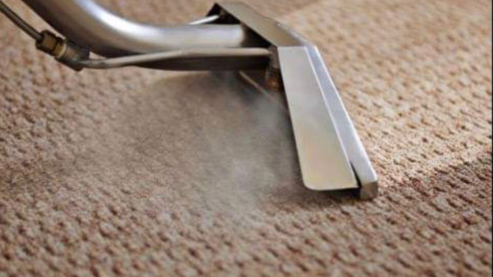 Suncoast Carpet & Tile Cleaning | 3926 Oriole Ave, Port Orange, FL 32127, USA | Phone: (386) 341-4871