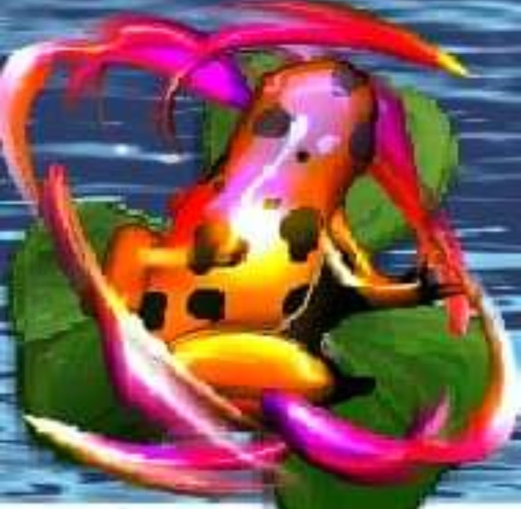 Miracle 2 Designs | 10436 Winding Passage Way, Fort Worth, TX 76131, USA | Phone: (214) 562-0349