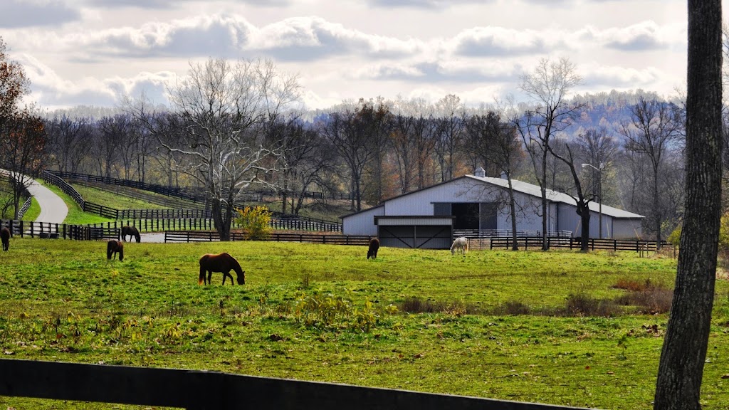 StoneRidge Stables | 13929 Morningview Rd, Alexandria, KY 41001 | Phone: (859) 694-1276