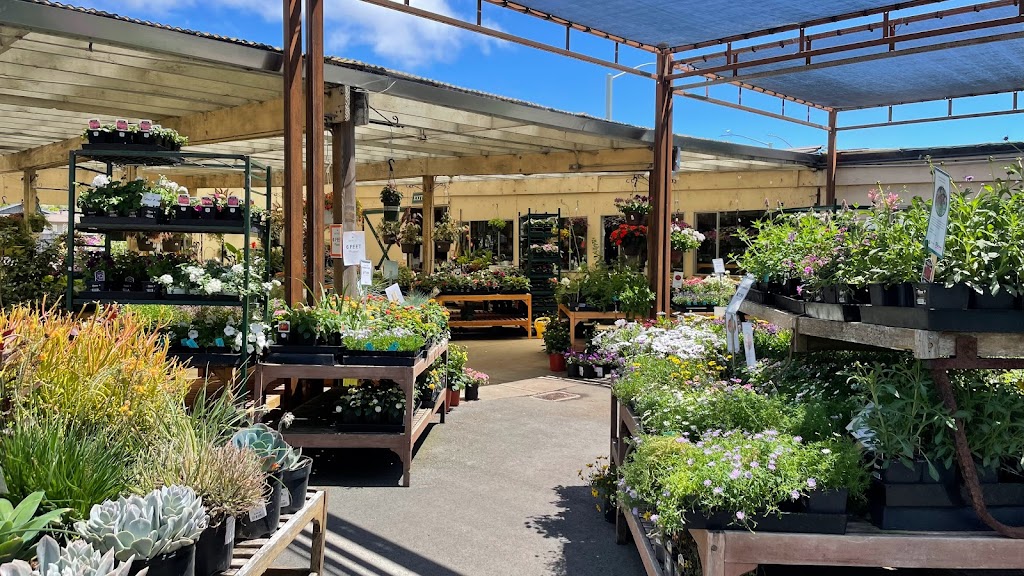 Sloat Garden Center | 700 Sir Francis Drake Blvd, Kentfield, CA 94904, USA | Phone: (415) 454-0262