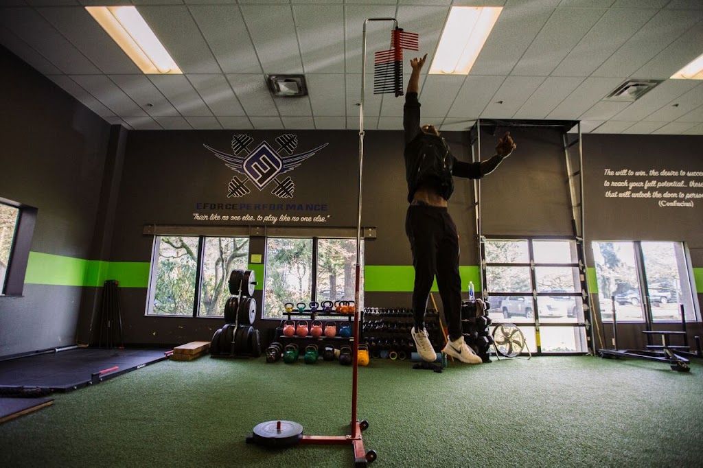 EForce Sports Lake Oswego | 17355 SW Ferry Rd Suite B, Lake Oswego, OR 97035, USA | Phone: (503) 344-4949