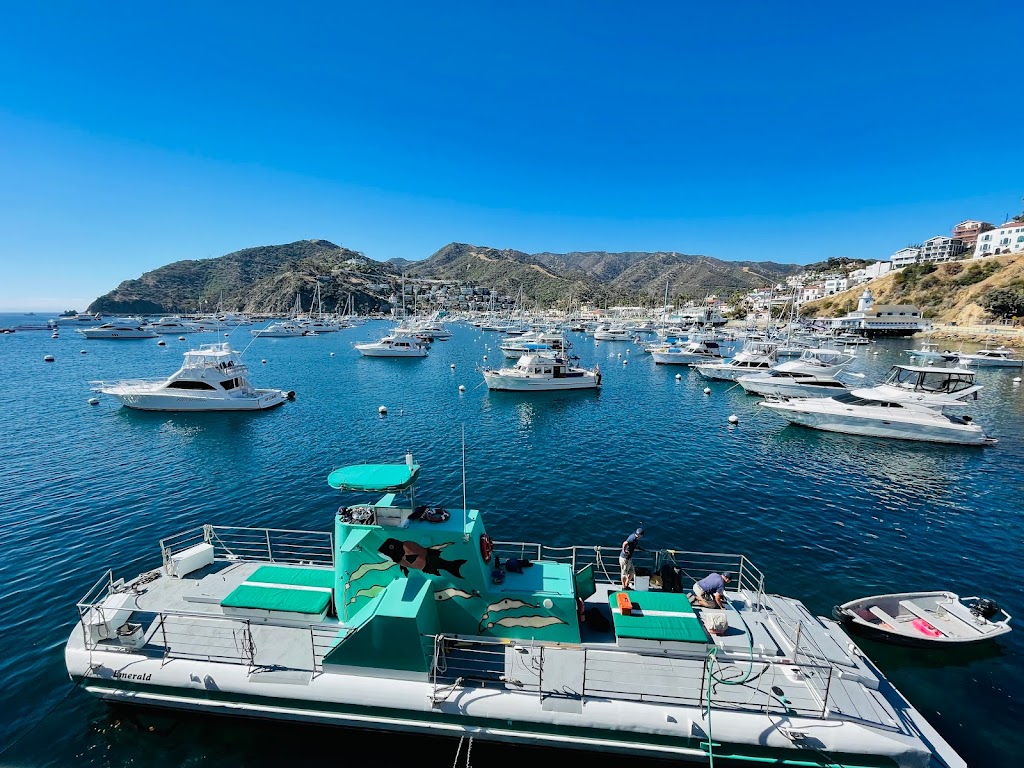 Avalon Harbor Fuel Dock | 2 Casino Way, Avalon, CA 90704 | Phone: (310) 510-0046