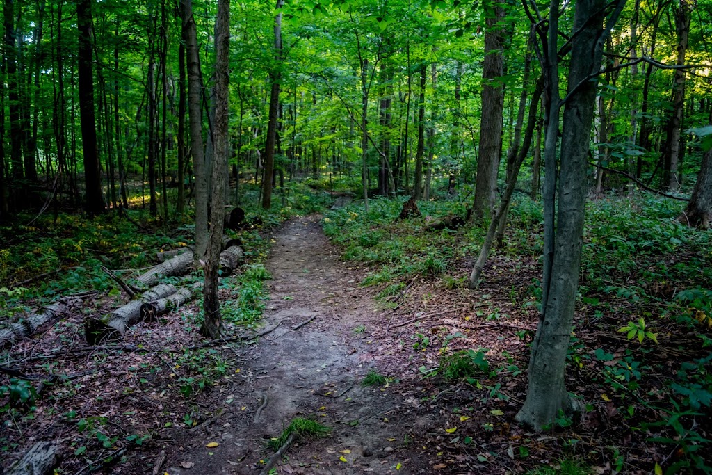 Eagle Creek Nature Preserve | 11027 Hopkins Rd, Garrettsville, OH 44231, USA | Phone: (330) 527-5118