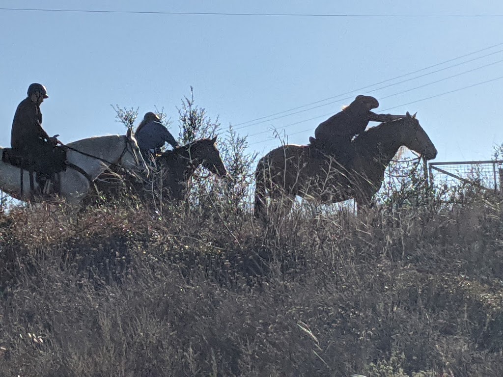 Horseback Adventures of Central Texas | 6851 Fulton Ranch Rd, Wimberley, TX 78676, USA | Phone: (970) 443-7627