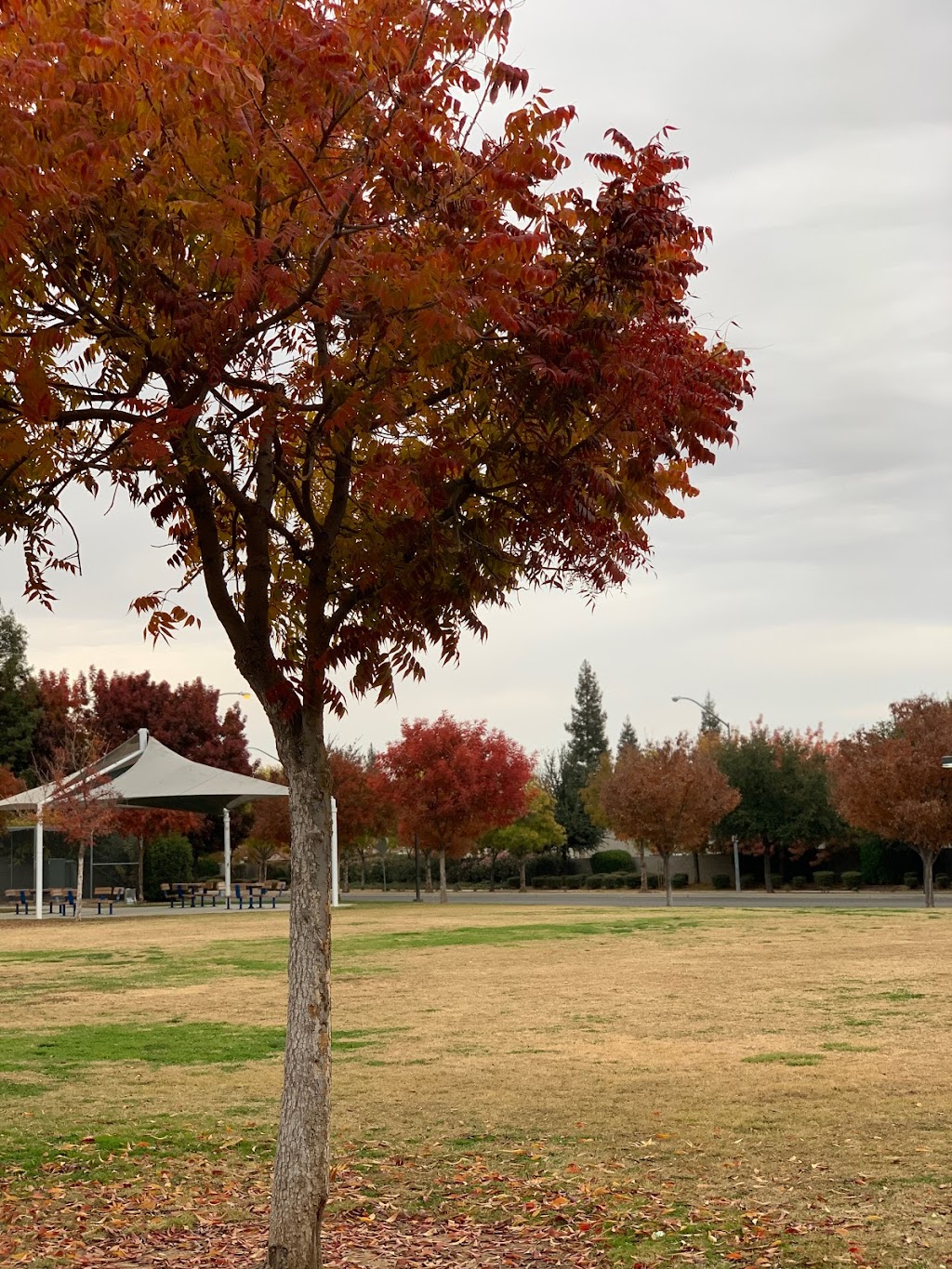 Todd Beamer Park | 1890 E Plymouth Way, Fresno, CA 93720, USA | Phone: (559) 621-7529