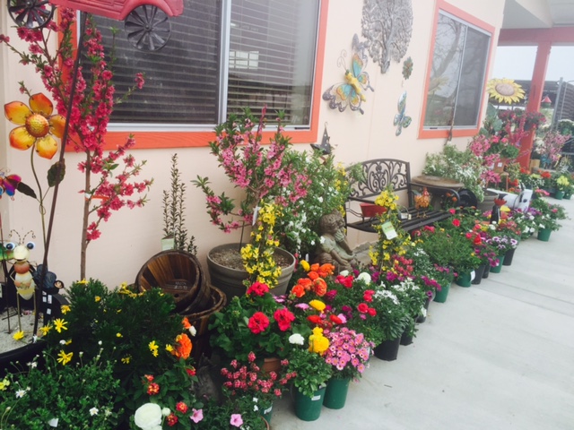 Cherry Valley Nursery And Landscape Supply | 37955 Cherry Valley Blvd, Beaumont, CA 92223, USA | Phone: (951) 845-7045