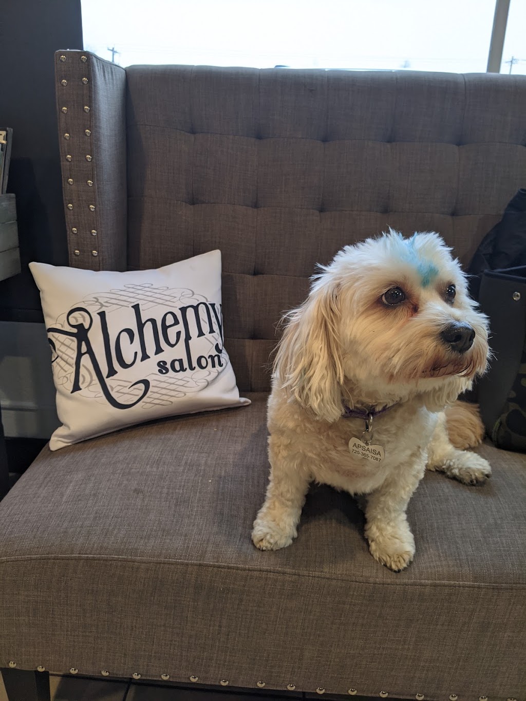 Alchemy Salon | 3673 S Broadway, Englewood, CO 80113, USA | Phone: (303) 557-0044