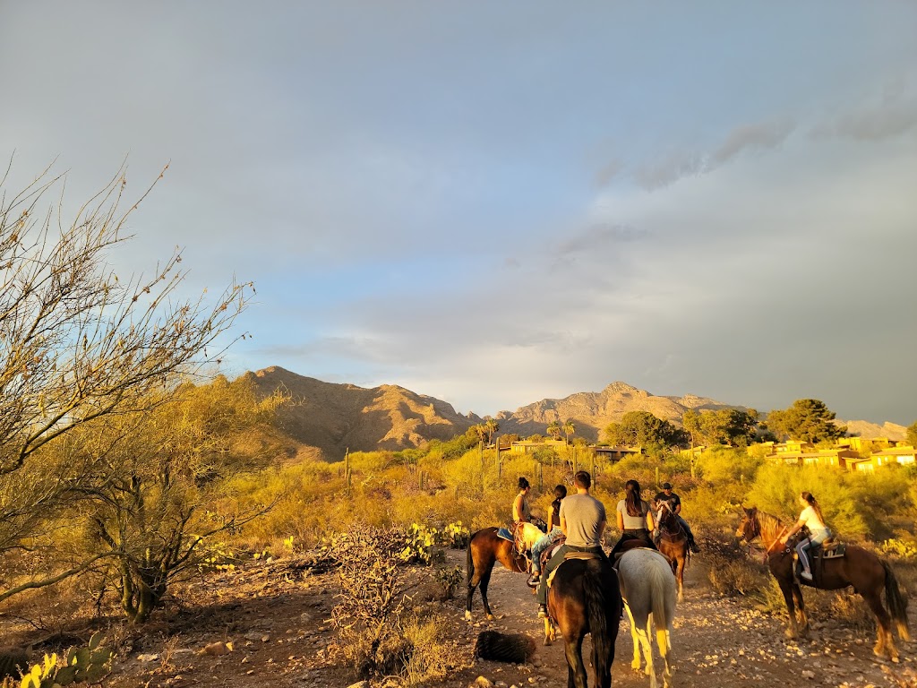 Catalina Horseback Riding | 245 E Ina Rd, Tucson, AZ 85704, USA | Phone: (520) 631-3787