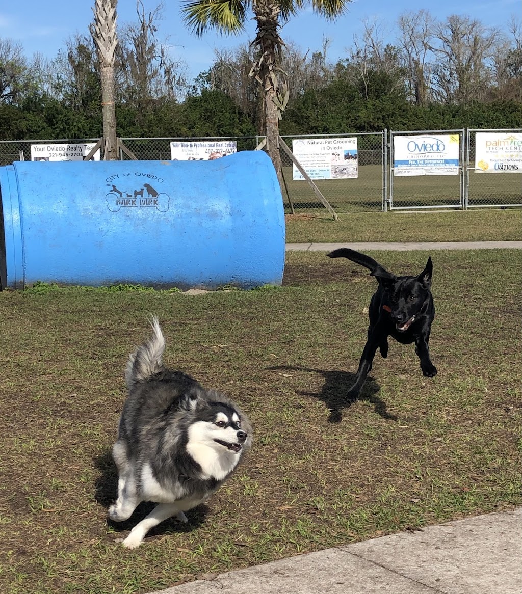 Shane Kelly Bark Park | 323 Silver Springs Dr, Oviedo, FL 32765, USA | Phone: (407) 971-5575