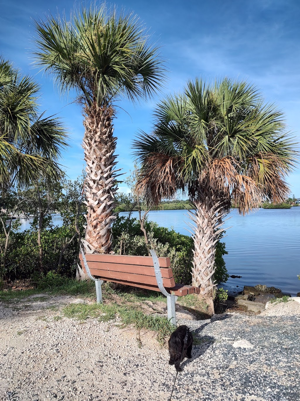 Port Richey Waterfront Park | 8203-, 8207 Old Post Rd, Port Richey, FL 34668, USA | Phone: (727) 816-1900