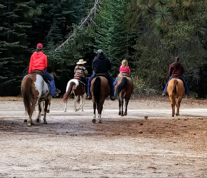 Twisted Bit Ranch | 21844 Rd 29 1/2, Madera, CA 93638, USA | Phone: (559) 931-2400