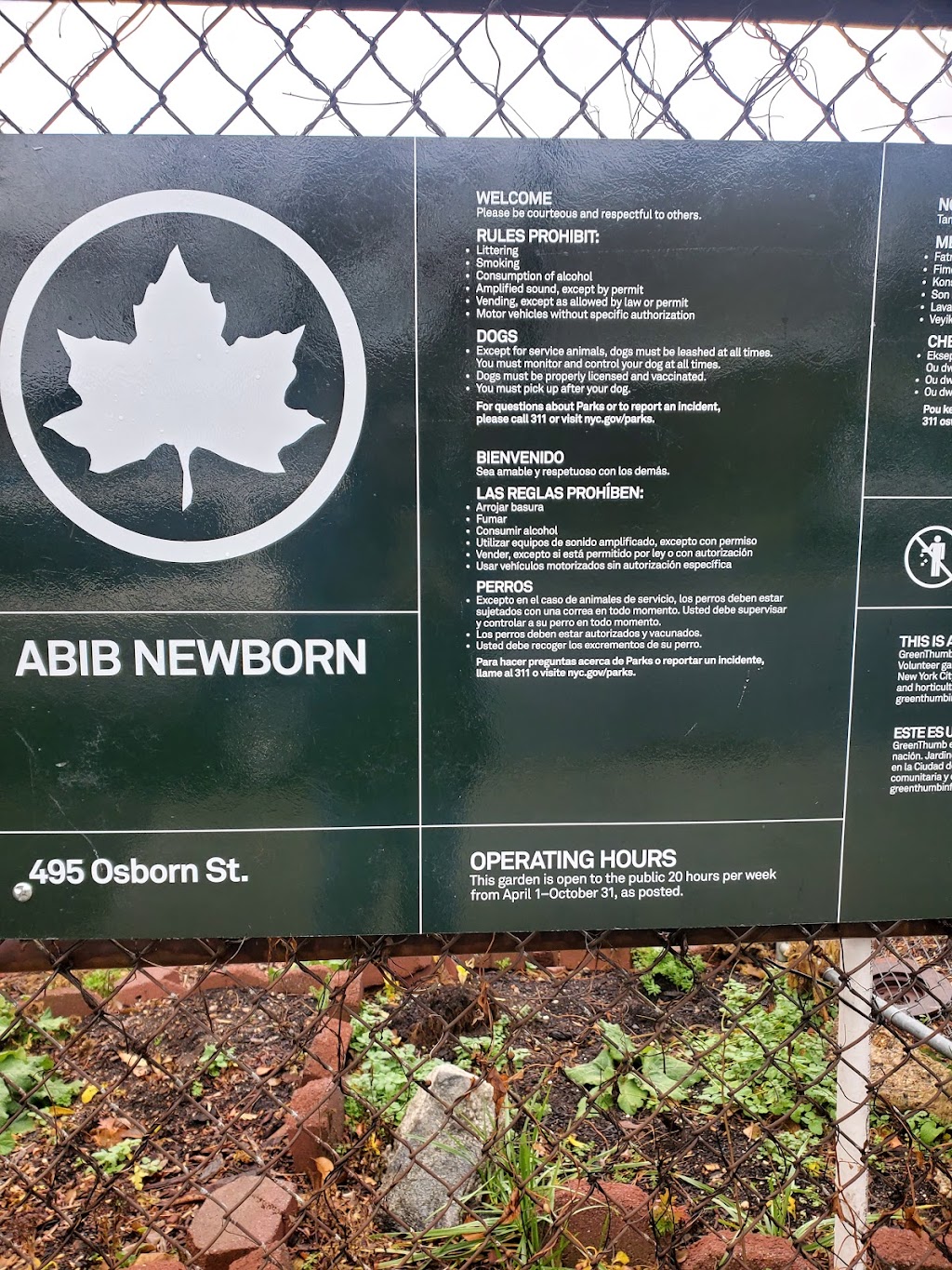 Abib Newborn Garden | 495 Osborn St, Brooklyn, NY 11212, USA | Phone: (212) 360-2765