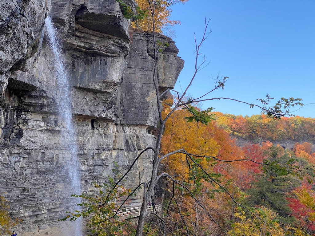 Thacher State Park | 830 Thacher Pk Rd, Voorheesville, NY 12186, USA | Phone: (518) 872-1237