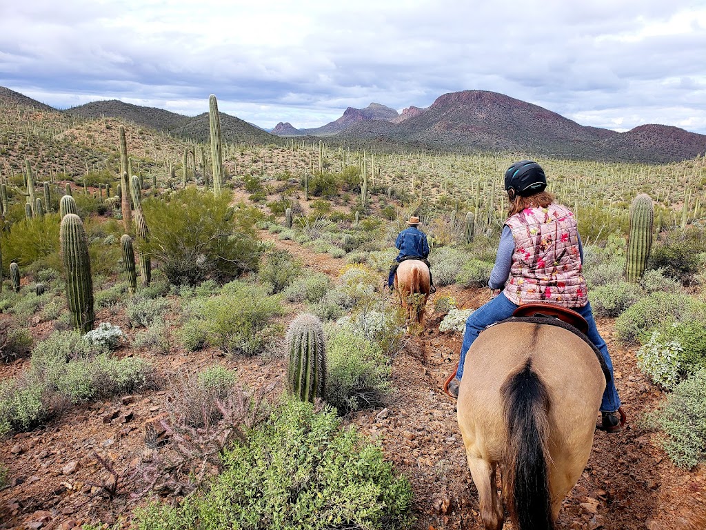 Rocking M Ranch | 6265 Happy Trail, Tucson, AZ 85743, USA | Phone: (520) 744-2457