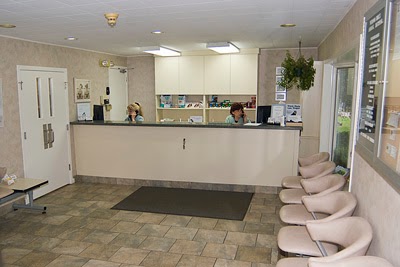 Vernon Hills Animal Hospital | 1260 Butterfield Rd, Mundelein, IL 60060, USA | Phone: (847) 367-4070