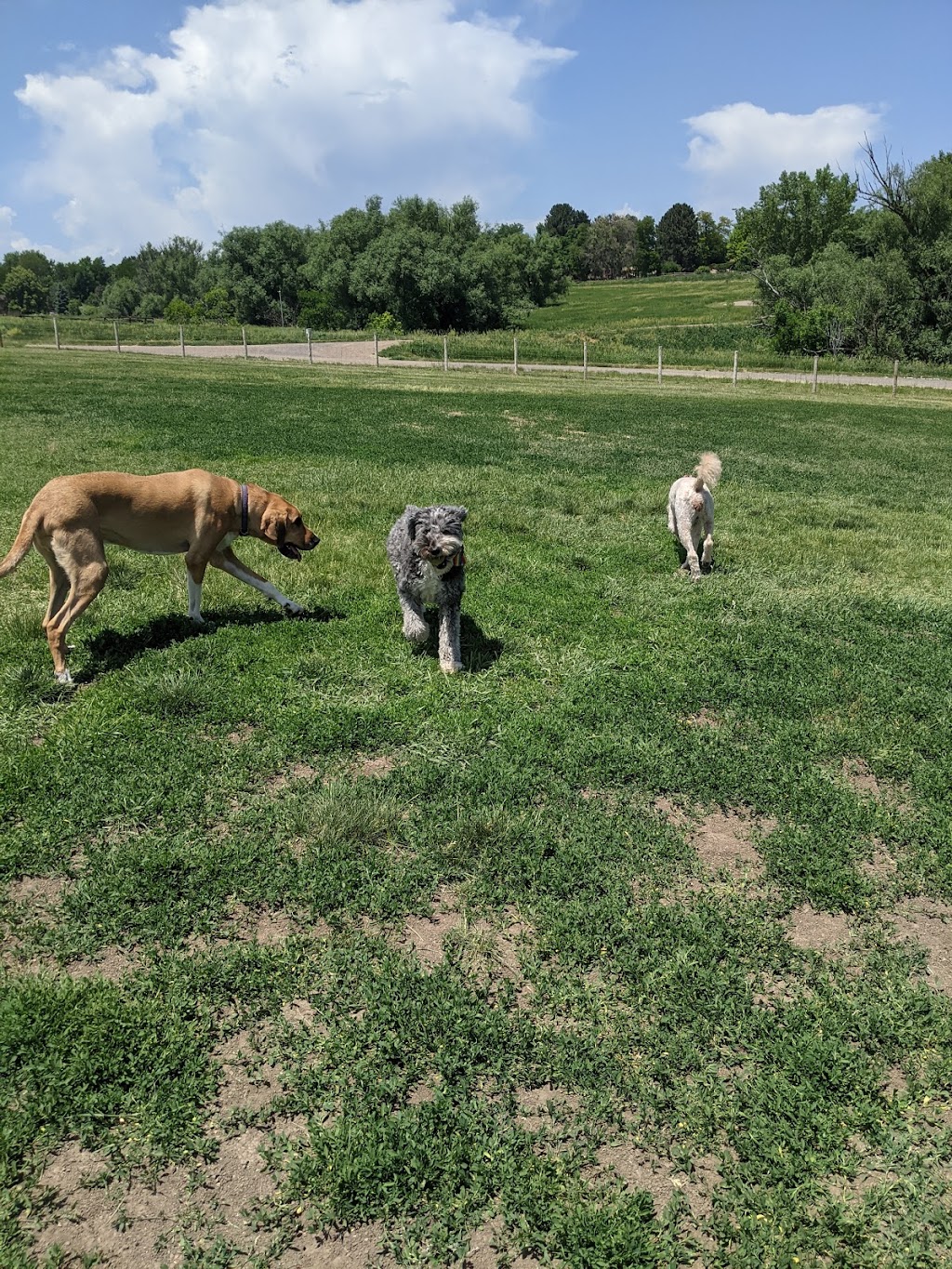 Wynetka Ponds Bark Park | 5875 S Lowell Blvd, Littleton, CO 80123, USA | Phone: (303) 798-5131