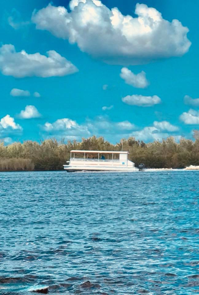 Peace River Airboat Tours & Charters | 9700 SW Riverview Cir, Arcadia, FL 34269, USA | Phone: (863) 303-3789