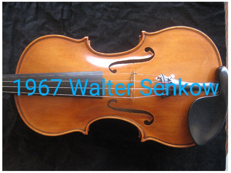Wylie Violins | 719 Fleming St, Wylie, TX 75098, USA | Phone: (972) 429-1484