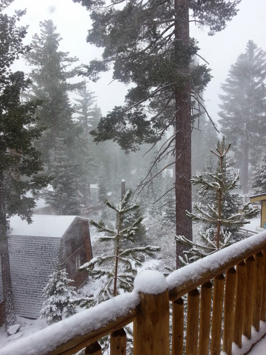 Northshore Transportation | 511 Mountain Cir, Kings Beach, CA 96143, USA | Phone: (530) 546-2885