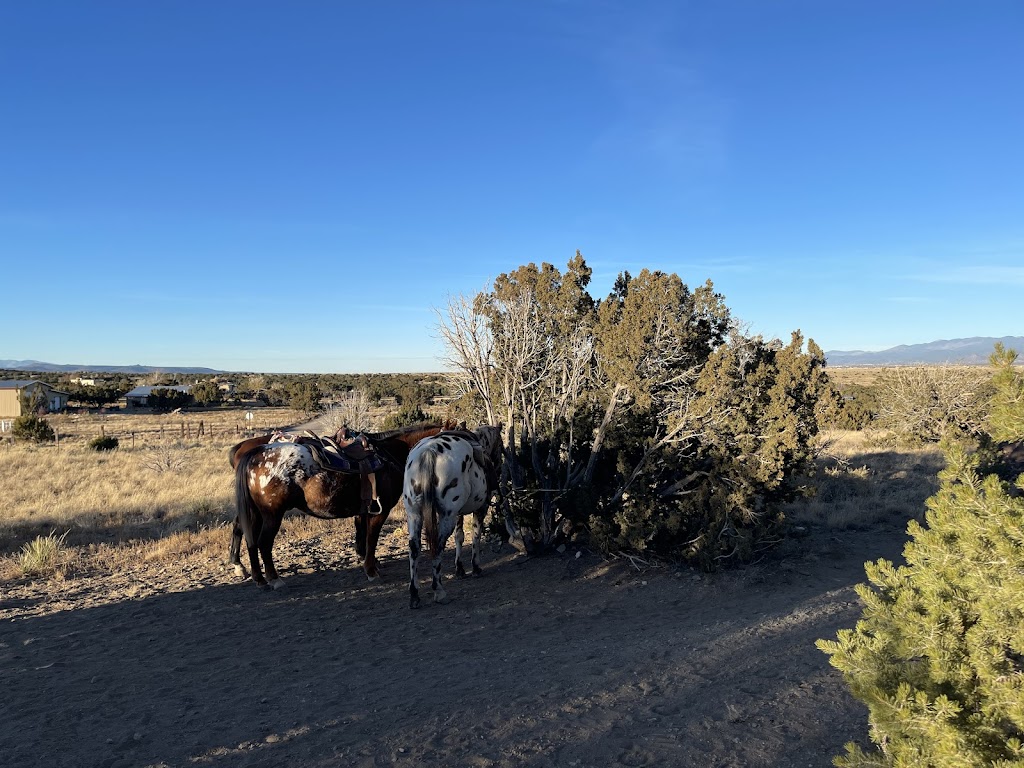 Lone Butte Stable | 68 Bonanza Creek Rd, Santa Fe, NM 87508, USA | Phone: (505) 473-9384