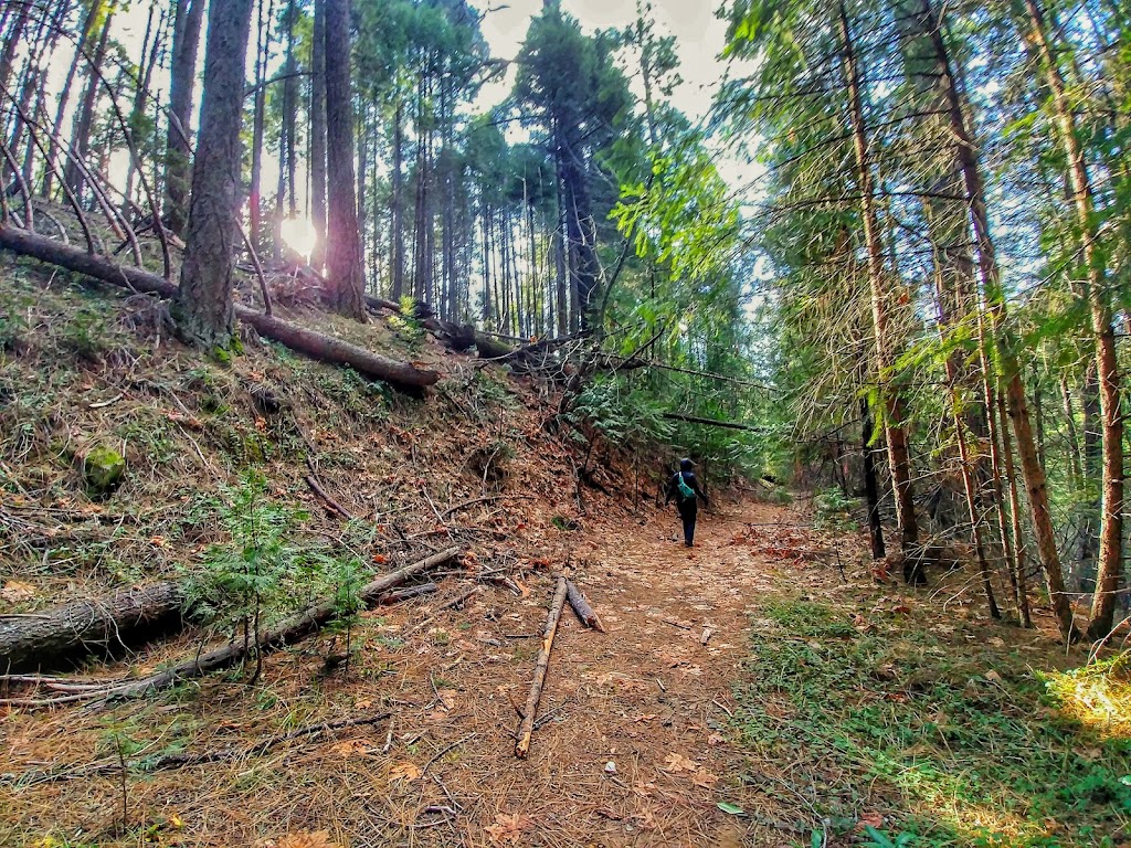 Fleming Trail System & Trailhead | Pollock Pines, CA 95726, USA | Phone: (530) 622-5061