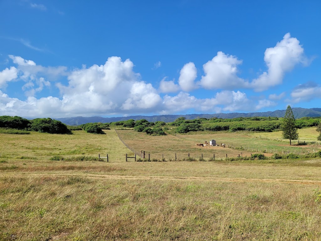 Gunstock Ranch | 56-250 Kamehameha Hwy, Kahuku, HI 96731, USA | Phone: (808) 341-3995