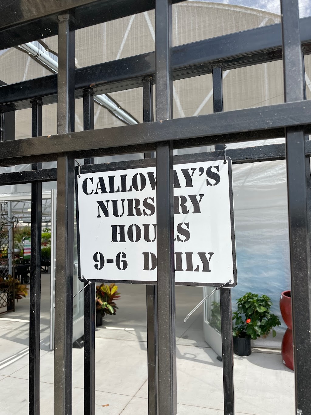 Calloways Nursery | 201 Richland Blvd, Prosper, TX 75078, USA | Phone: (469) 296-2796
