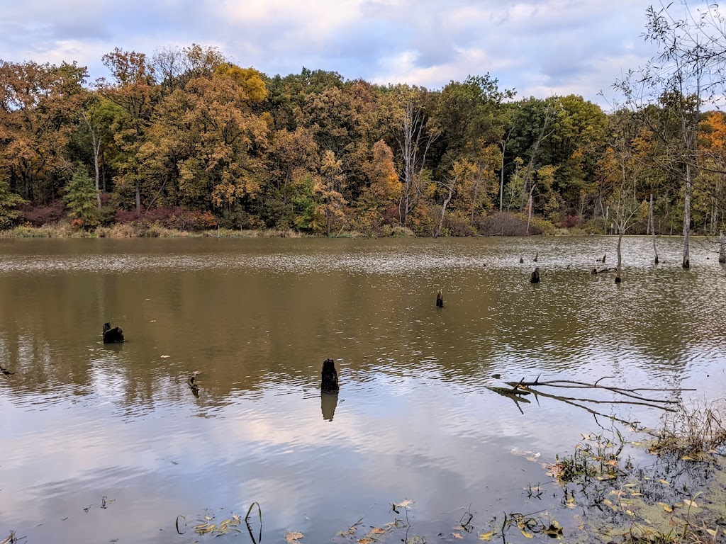 Loblolly Marsh Nature Preserve | 8001-8499 N 250 W, Bryant, IN 47326, USA | Phone: (260) 368-7428