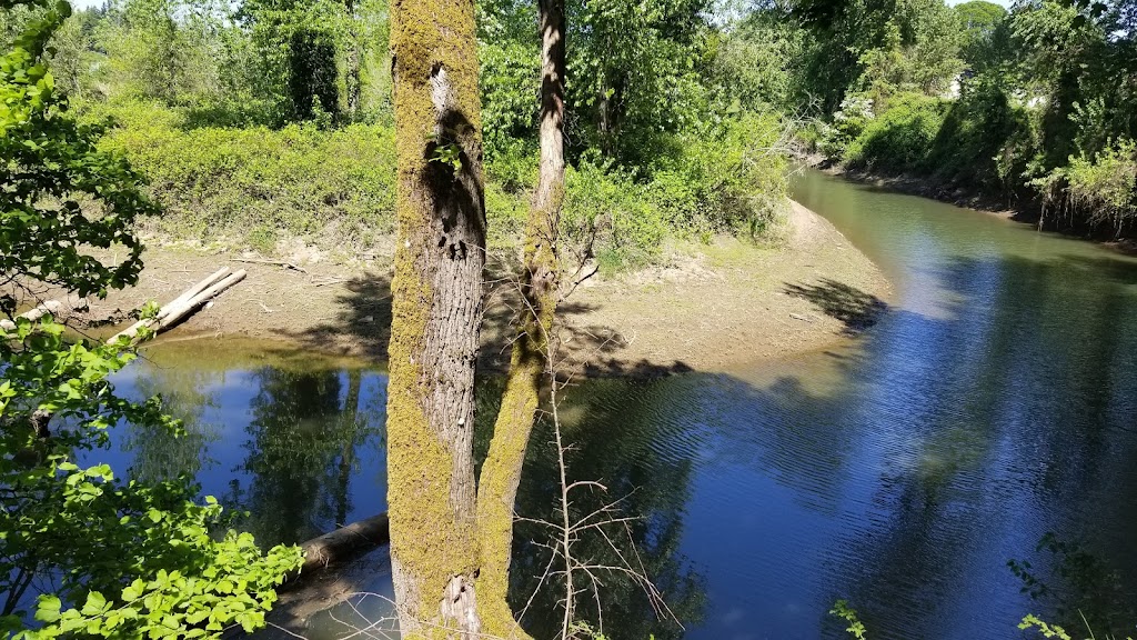 Spring Park Natural Area | 2001 SE Sparrow St, Milwaukie, OR 97222, USA | Phone: (503) 653-8100