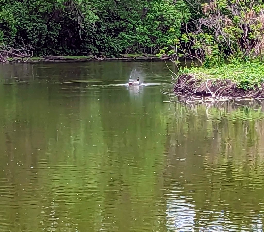 Heron Haven Nature Center | 11809 Old Maple Rd, Omaha, NE 68164, USA | Phone: (402) 493-4303