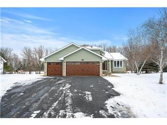 Shane Nemmers, Wits Realty | 6879 67th St NE, Albertville, MN 55301, USA | Phone: (612) 850-9247