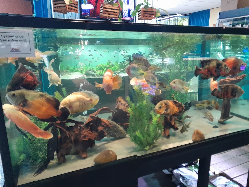 The Reef Aquarium Shop | 5613 N Keystone Ave, Indianapolis, IN 46220, USA | Phone: (317) 253-9695