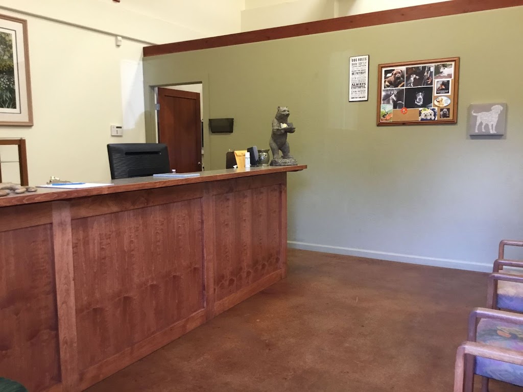 Bear River Chiropractic | 22824 Industrial Pl, Grass Valley, CA 95949 | Phone: (530) 268-2288
