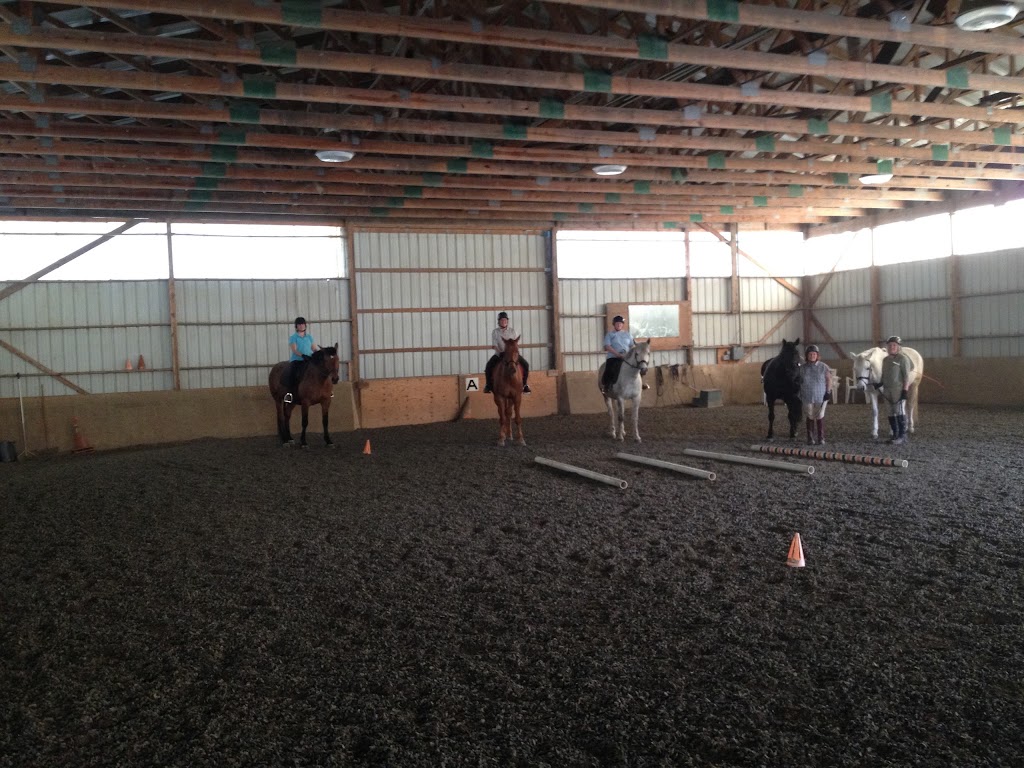 Chavin Equestrian Center | 130 Loweree Rd, Nassau, NY 12123, USA | Phone: (518) 766-3411