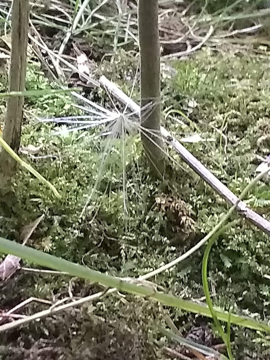 Art Bin | 15981 Valplast Rd, Middlefield, OH 44062, USA | Phone: (440) 632-1631