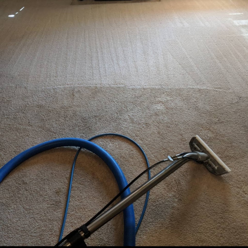 Prime Carpet Scrub | 10900 #A28, Bustleton Ave, Philadelphia, PA 19116, USA | Phone: (267) 227-6482