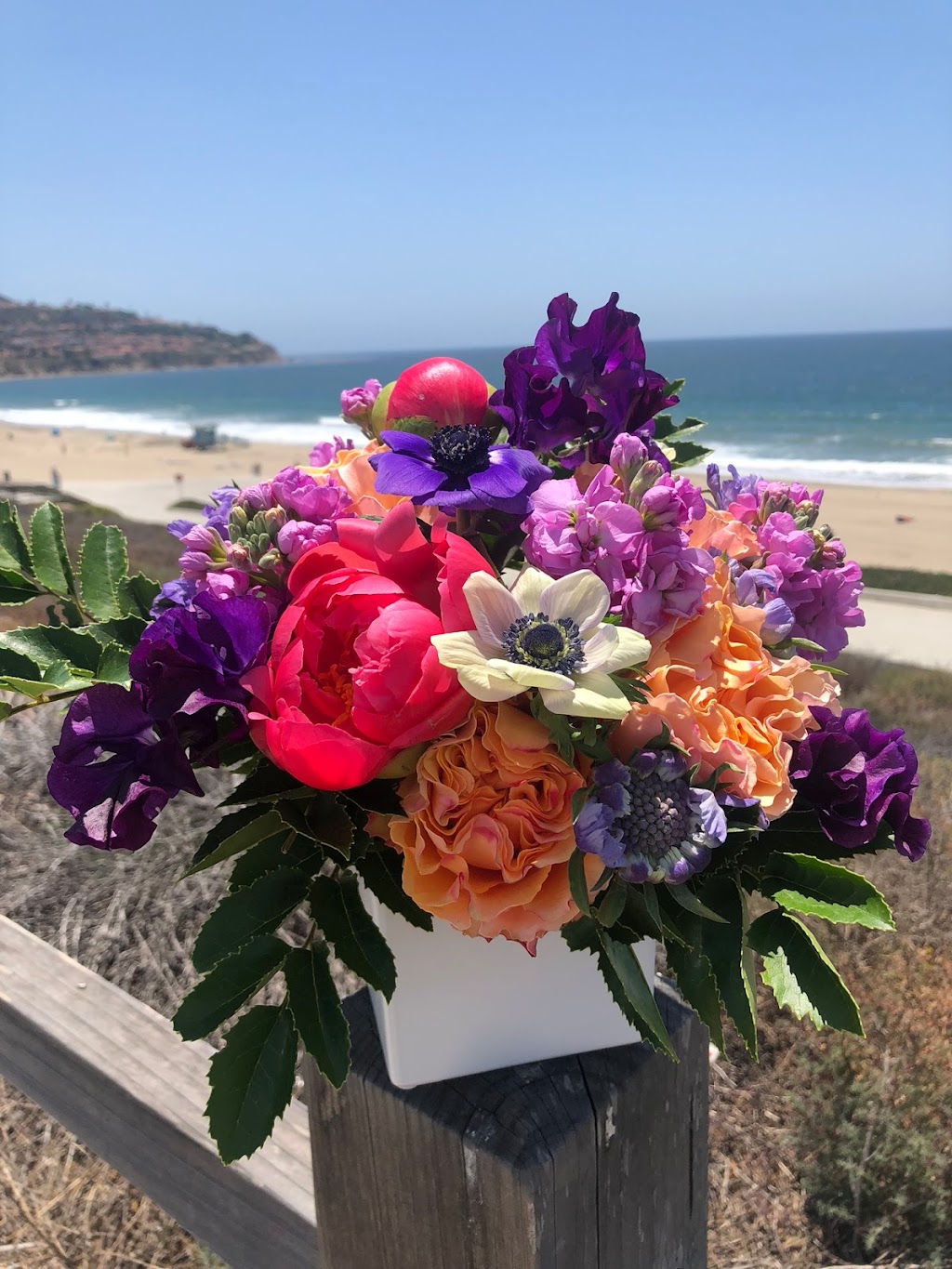 Purely Floral | Manhattan Beach, CA 90266, USA | Phone: (310) 871-0997