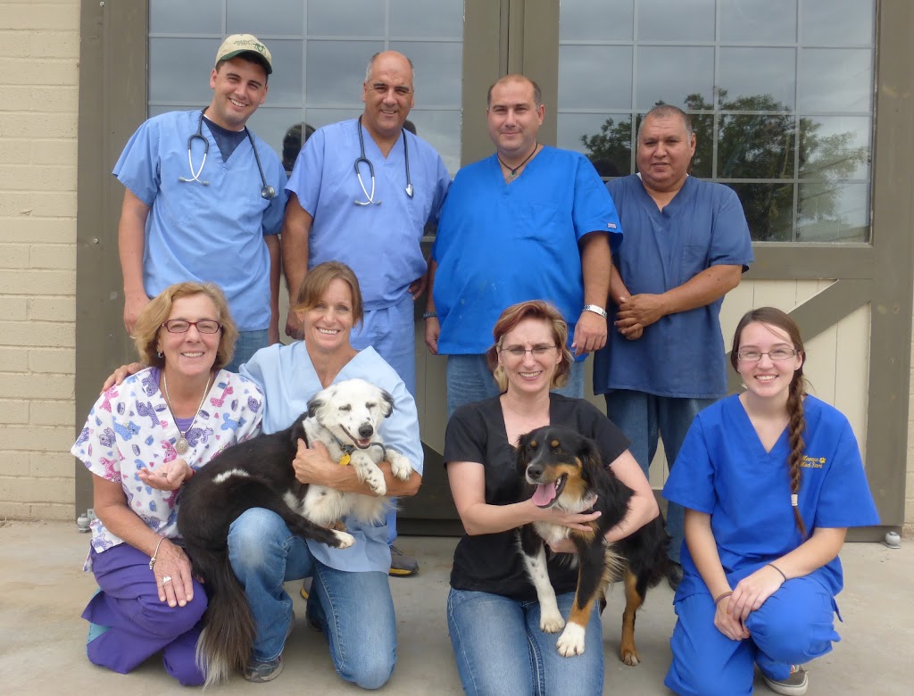 Marana Veterinary Clinic | 13800 N Luckett Rd, Marana, AZ 85653, USA | Phone: (520) 682-6996
