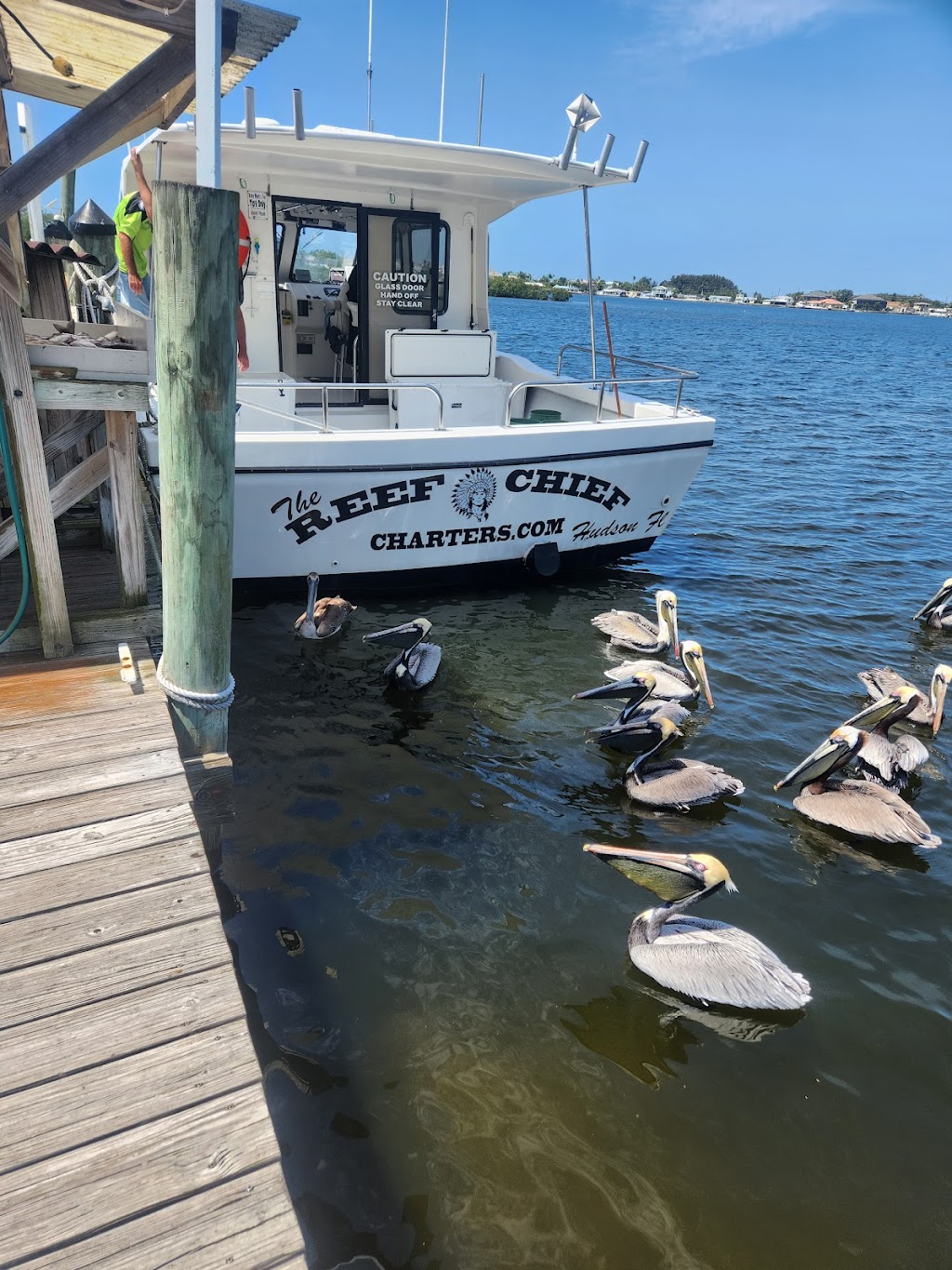The Reef Chief Charters | 5300 Treadway Dr, Port Richey, FL 34668, USA | Phone: (727) 869-3201