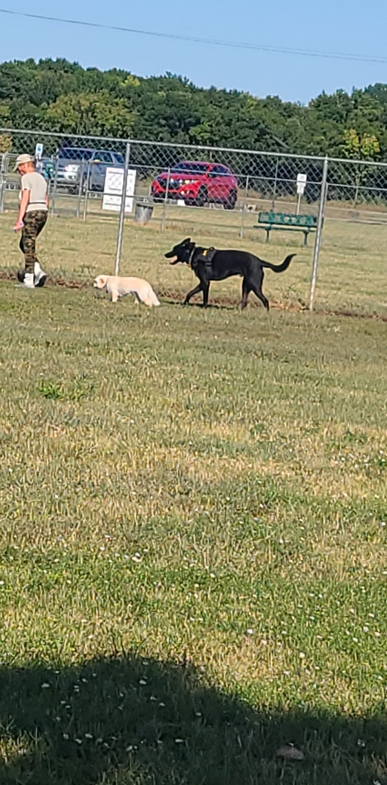 Cooper Dog Park | 2400 SE Adams Blvd, Bartlesville, OK 74006, USA | Phone: (918) 331-8031