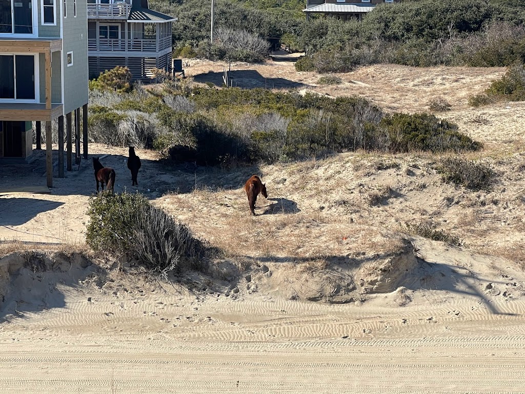 Starstruck OBX | 1973 Sandfiddler Rd, Corolla, NC 27927, USA | Phone: (860) 237-0349