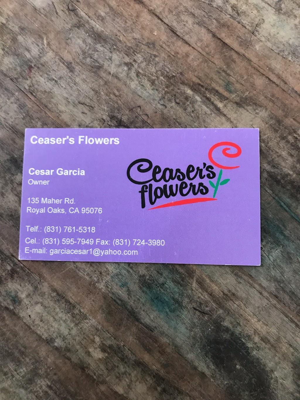 Ceasers Flower | 135 Maher Rd, Royal Oaks, CA 95076, USA | Phone: (831) 595-7949