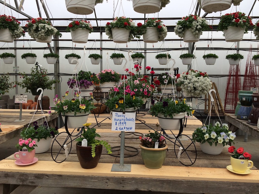 Draudts Farm Market & Greenhouses | 4779 Clark St, Hamburg, NY 14075, USA | Phone: (716) 648-7077