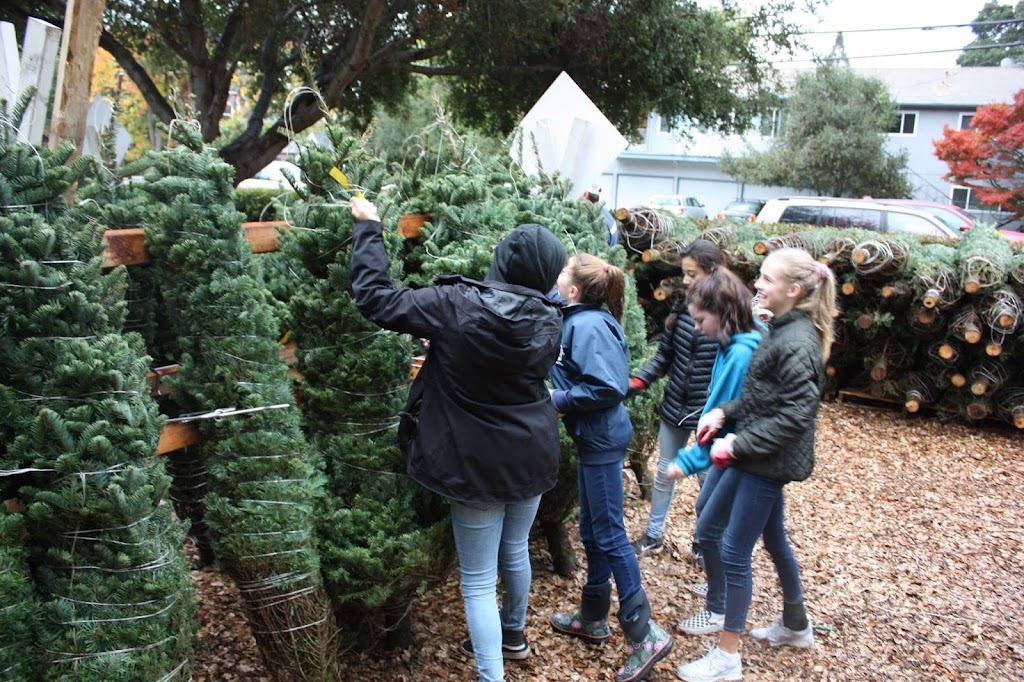 Nativity School Christmas Tree Lot | 1250 Laurel St, Menlo Park, CA 94025, USA | Phone: (650) 325-7304 ext. 207