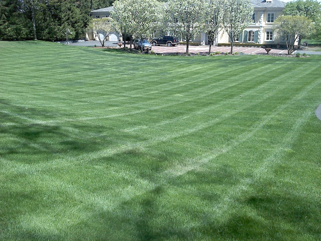 Cedar Tree Properties | 4217 Albany St, Albany, NY 12205, USA | Phone: (518) 649-9040