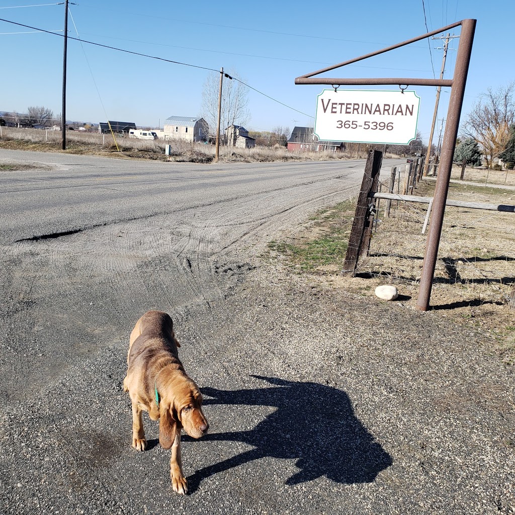 Animal Medical Center Emmett ID | 2588 Waterwheel Rd, Emmett, ID 83617, USA | Phone: (208) 365-5396